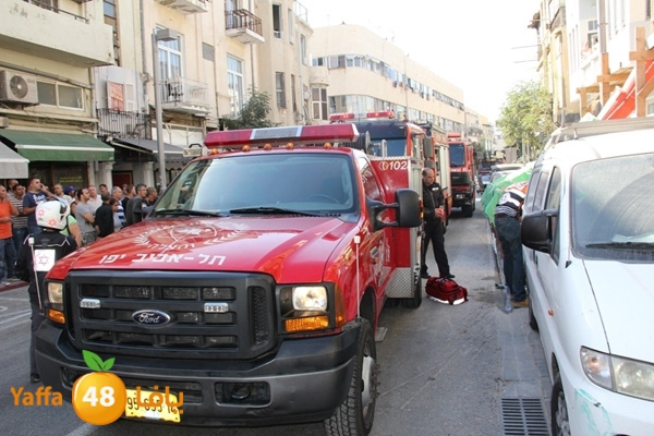 mabna inu910y (8).JPG